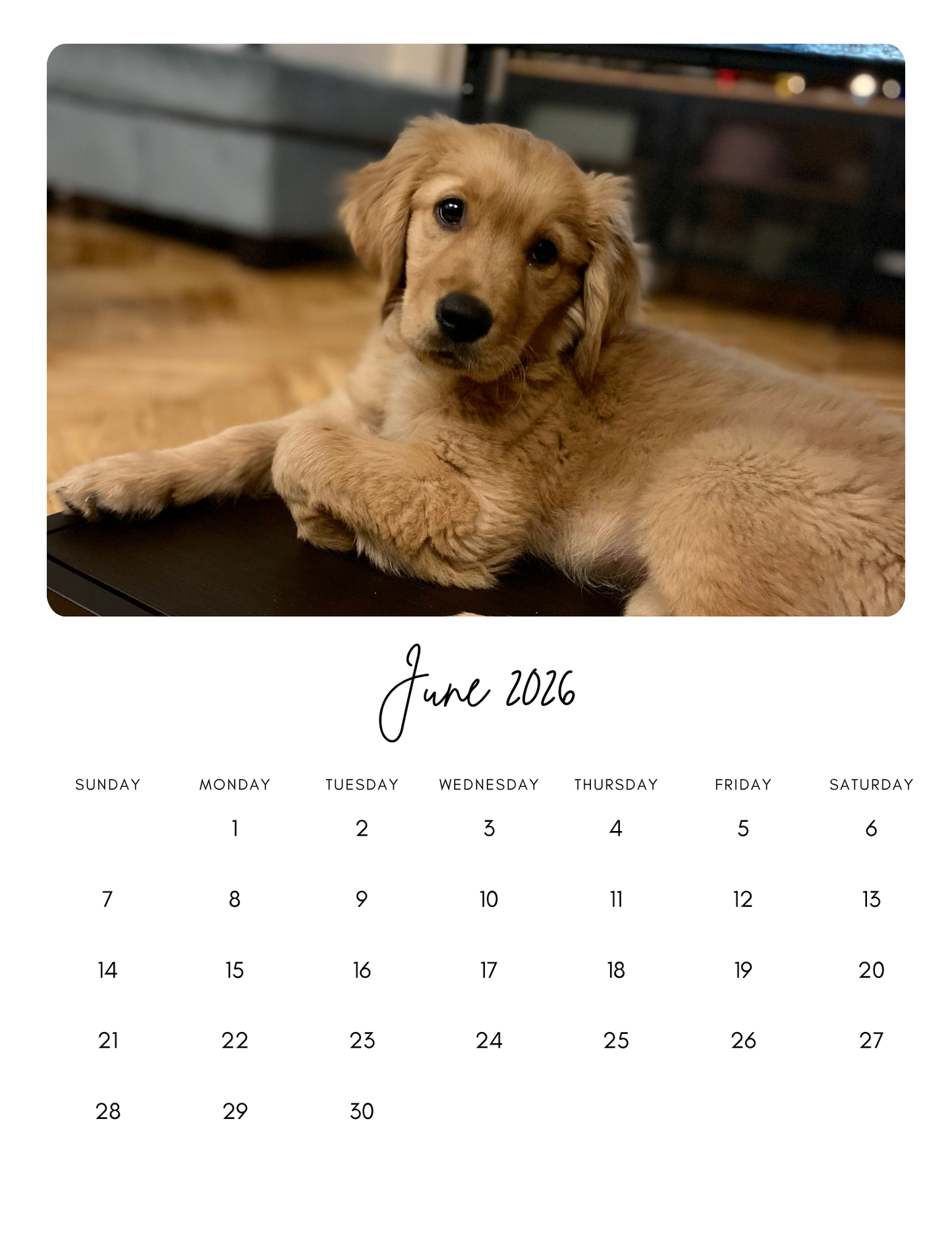 Customizable 2026 Calendar - Set of 12